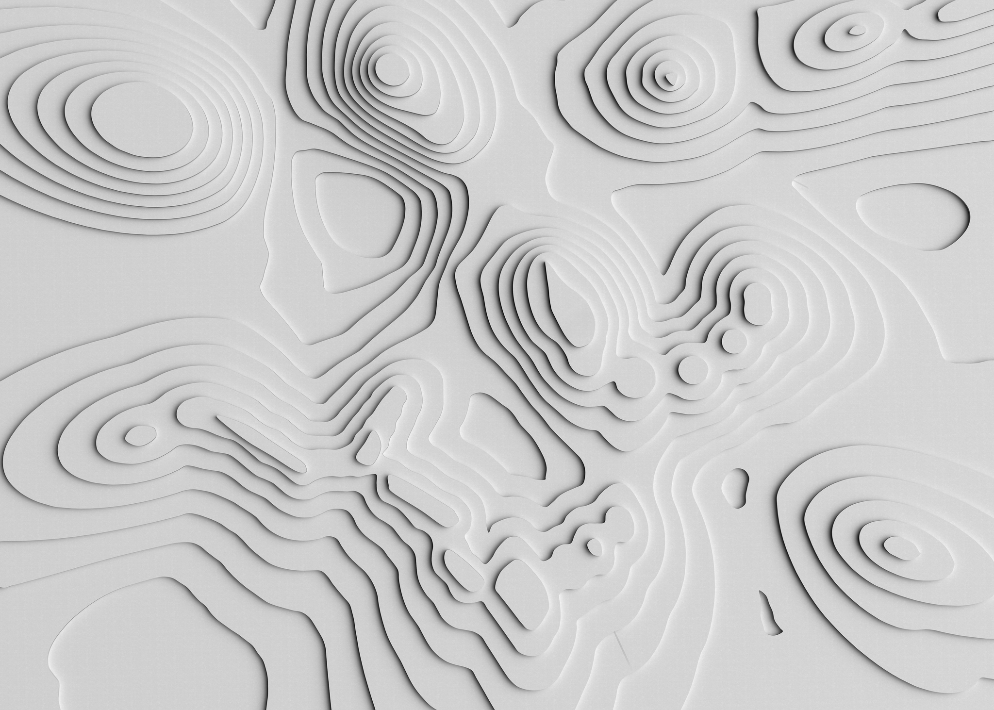 Topographic Map Grey